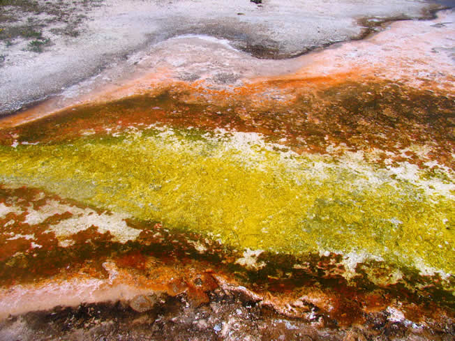 怀俄明州黄石国家公园.多姿多彩的硫化热喷泉和它们的洞口