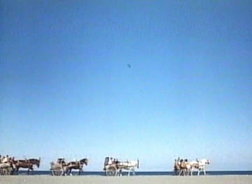西西里岛海滩的旖旎风光.马特奥和他的爱妻常带着五个孩子在这里玩耍.在马特奥的脑海中留下了深刻的回忆.影片中多次以闪回的镜头出现这里的场景