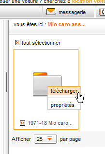 法国一家名为"桔子"(Orange)的网洛硬盘