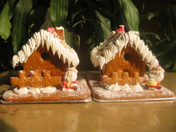 the ginger house and ginger biscuit that was bought in December 2006 in Nanjing Grand Hotel (In Nanjing of China)